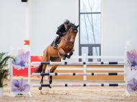 关于不丹马术选手骑术登峰造极，创造佳绩！的信息